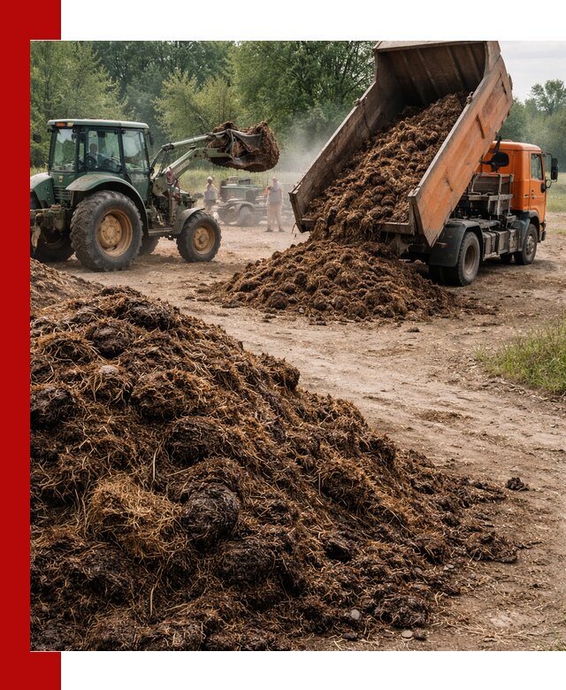 Доставка навоза самосвалами в Оренбурге для сельхозпотребностей